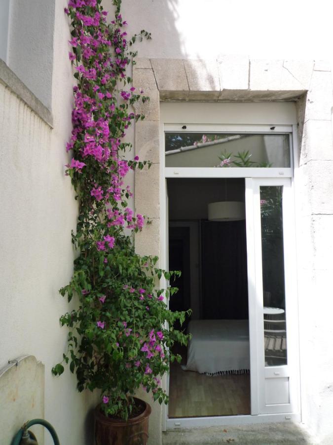 Appartement Avignon Centre Intra Muros Cour Exterieure Parking Prive Gratuit Exterior photo